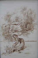 Segni d'Armonia - cm.40x60 - coll. privata - Forl